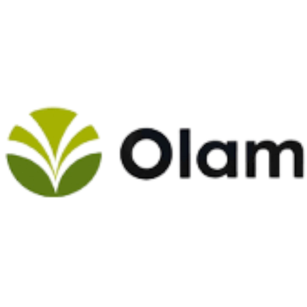 Olam